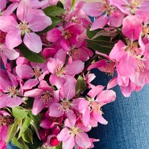 Hello! I am Stephanie! Thanks for all the PM  love and support!